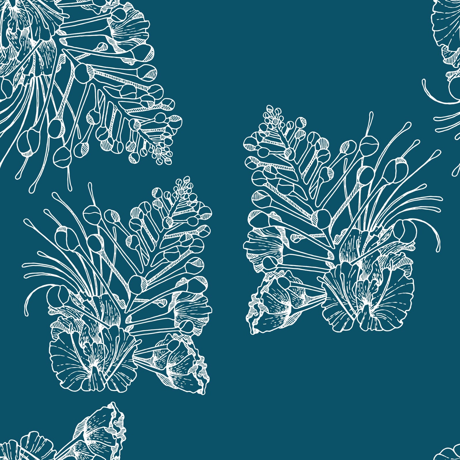 ʻŌhai Aliʻi Print from Kahulale'a