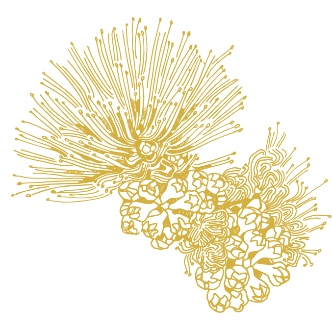 Close-up view of one section of the Black and Gold Hopoelehuaopuna Hawaiian print by Kahulaleʻa